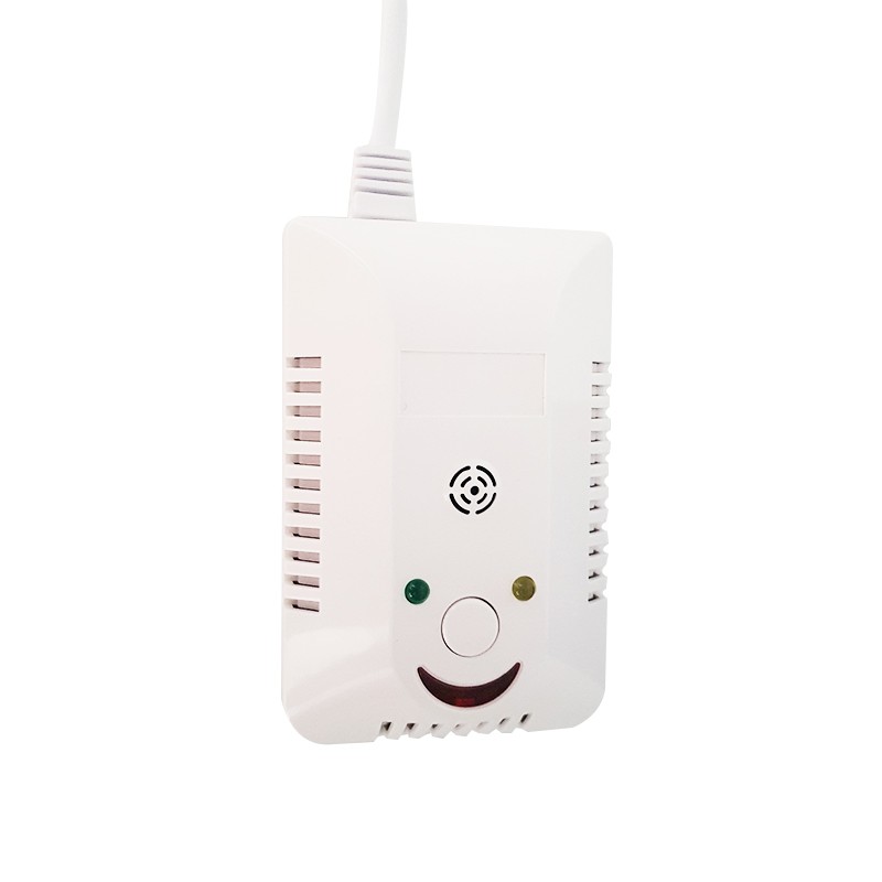détecteur de fuite de gaz alarme avec affichage numérique - Letshop.dz